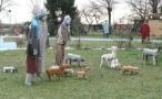 PresepeSL2007_13.jpg